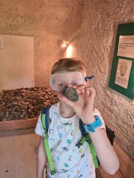 Ve sklepě muzea ve Skryjích si může dítě najít trilobita. Na pokladně mu půjčí brýle a geologické kladívko.