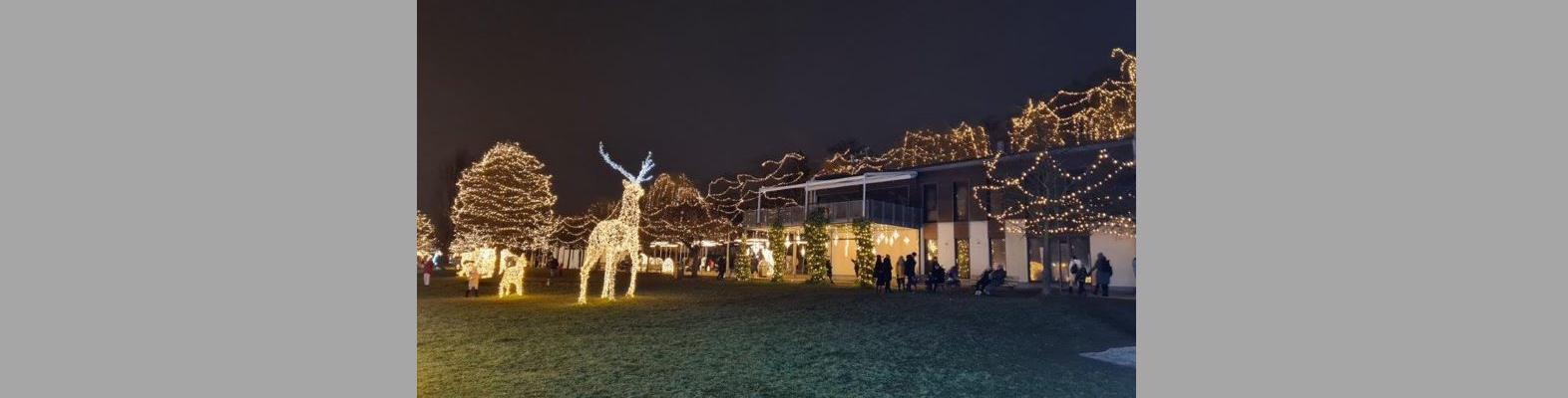 Světla vyprávějí