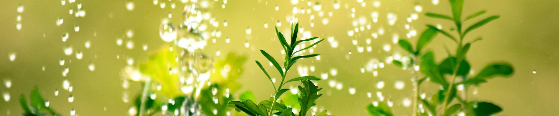 Jak si zajistit dlouhověkost? 