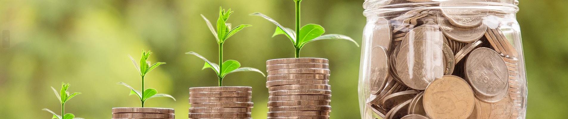 Mateřská versus rodičovská – vše, co jste chtěli vědět