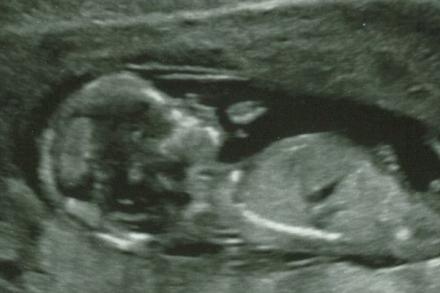 Bude se jmenovat Bivoj