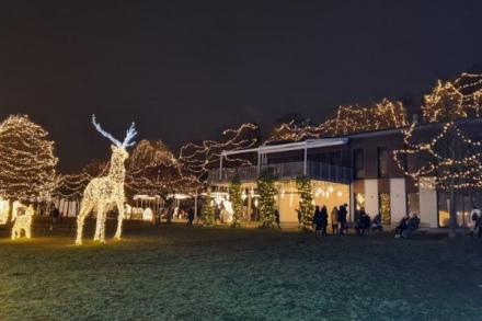 Světla vyprávějí