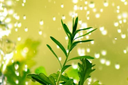 Jak si zajistit dlouhověkost? 